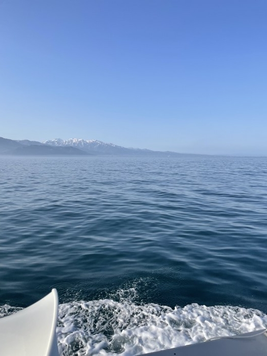 マグロキャスティング行きましたが! の写真