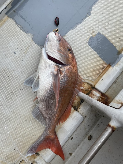 今日はタイラバ便　尚クロマグロキャスティング便について の写真