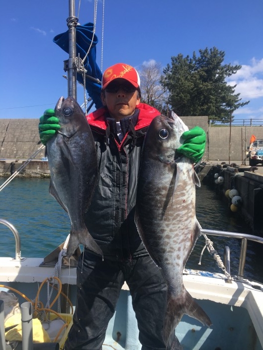 目鯛始まりました。 の写真