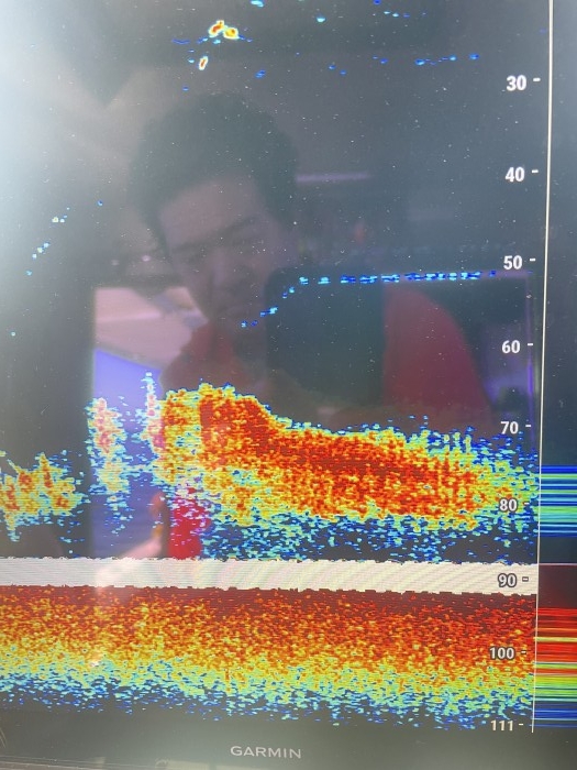 青物ジギング便 の写真