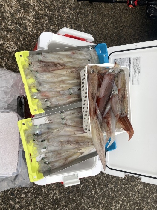 週末から火曜日頃まで の写真