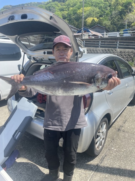 目鯛好調‼️ の写真