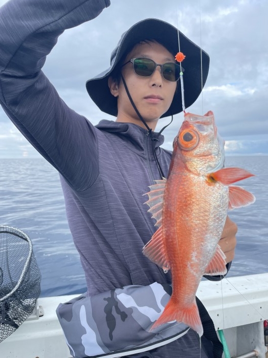 糸éšå·åœ°åŸŸã‚¢ã‚«ãƒ ツ絶好調ã§ã™ã‚ˆâ€¼ï¸ の写真