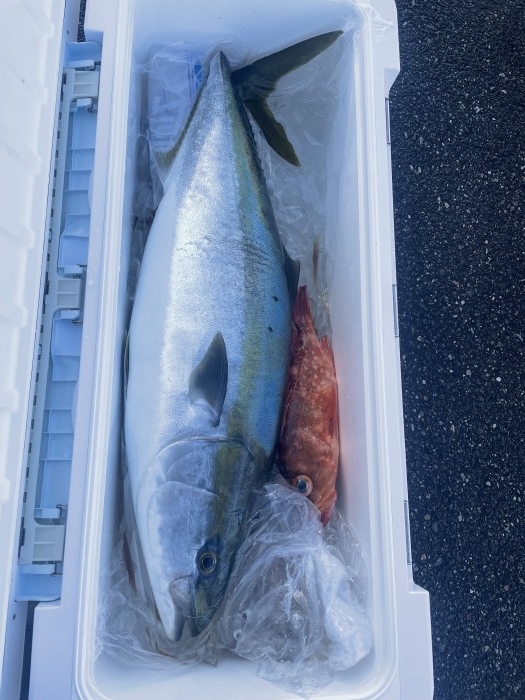 æ˜Žæ—¥ã‚¸ã‚®ãƒ³ã‚°å¤§å‹Ÿé›†ã§ã™ã€‚ の写真