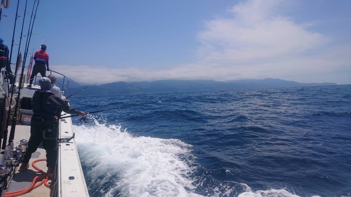 マグロキャスティング連日好調 の写真