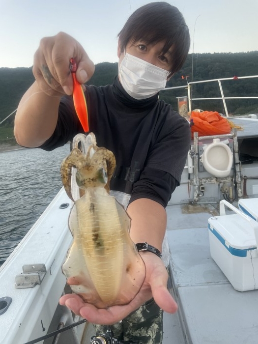 ティップラン の写真