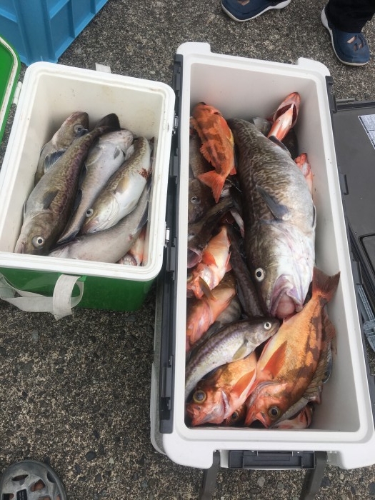 五目釣り の写真