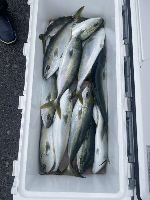 昨日、今日ジギングは⁉︎ の写真