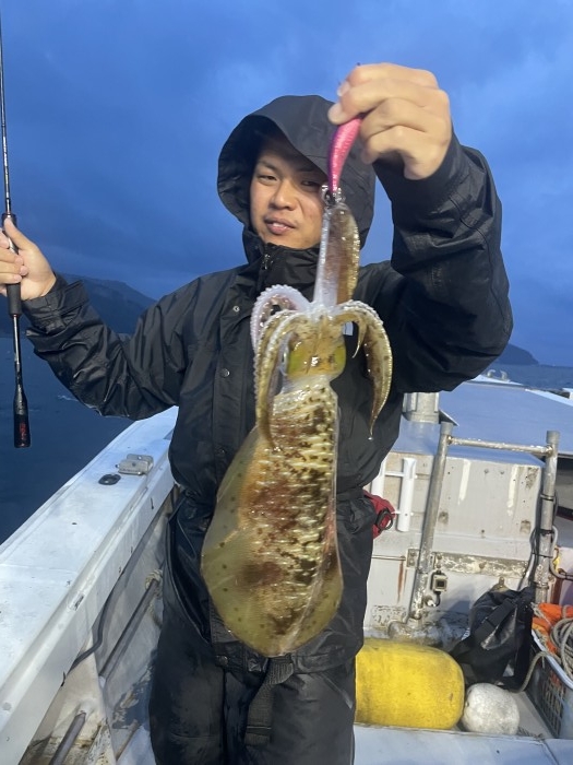 17日アオリTR〜夜アオリ便 の写真