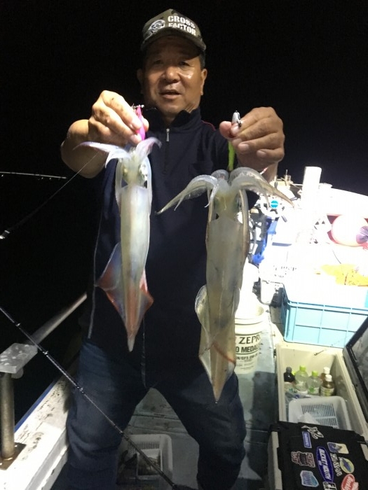 アカイカラストスパートです。 の写真