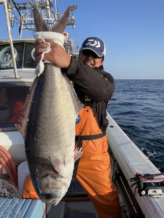 本日目鯛爆釣 の写真