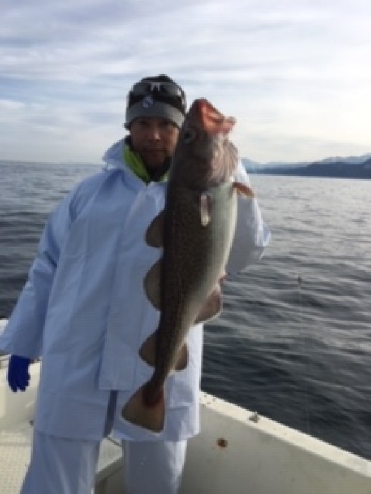 12月17日真鱈、甘鯛リレーで の写真