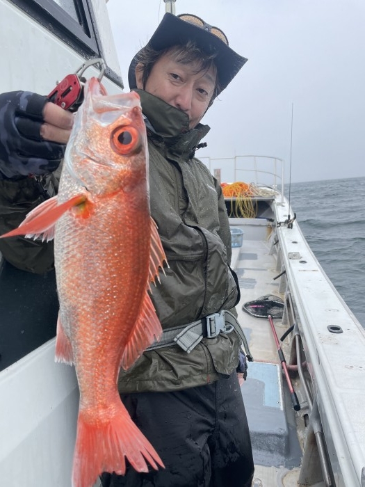 本日もアカムツスロー の写真