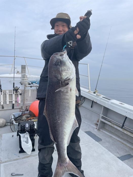 ヤリイカ、目鯛ルアー便 の写真