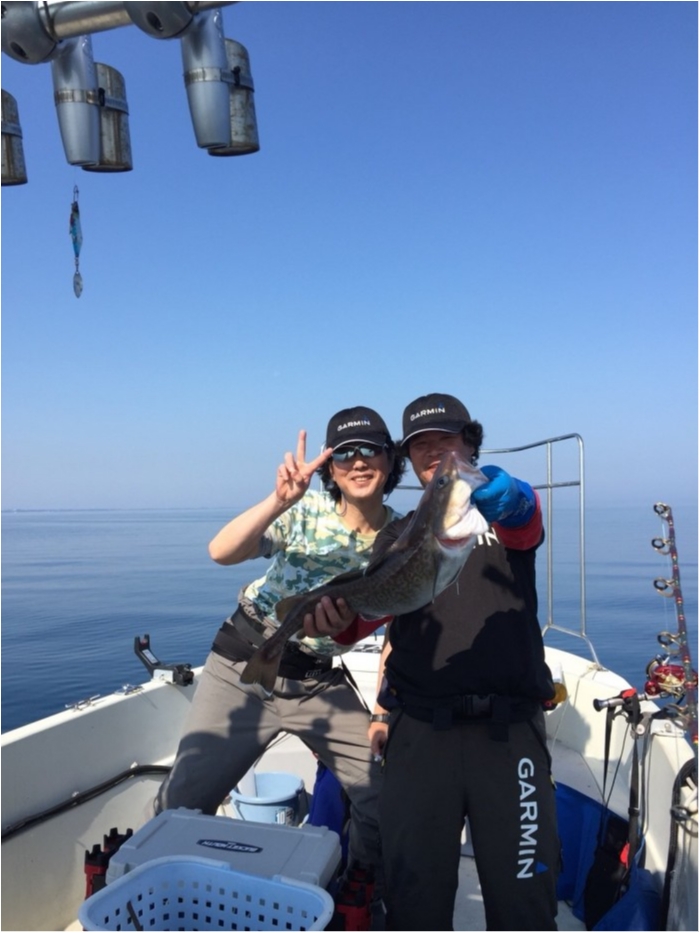 6月4日タラ、完全フカセチャーター の写真