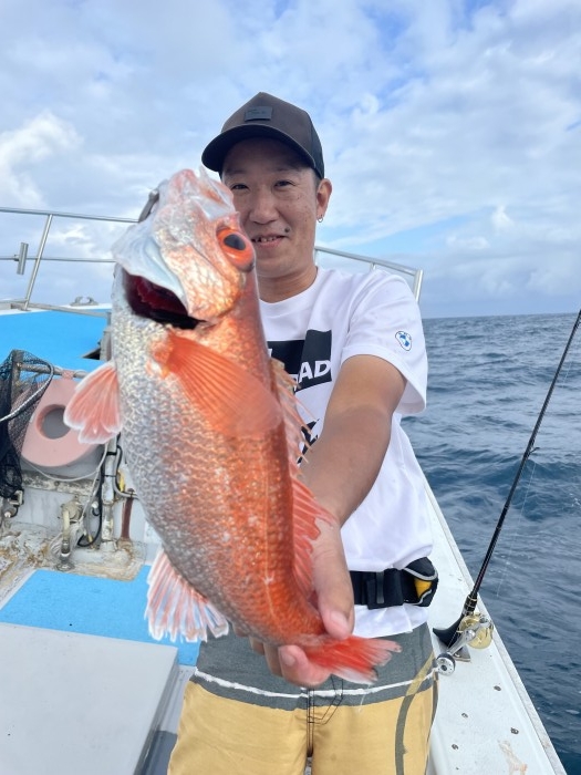 èµ¤ãƒ ãƒ„å¼·åŒ–ä¸ の写真