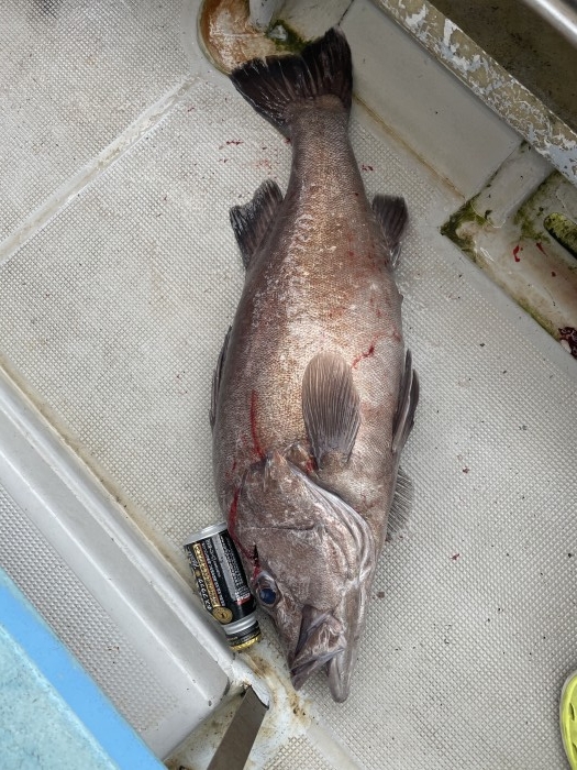 明日は中深海スロー出船します。 の写真