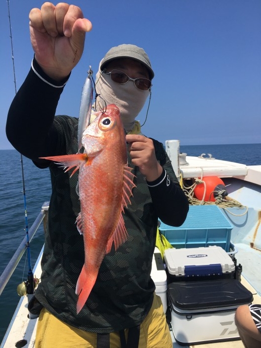 本日アカムツスロー便 の写真