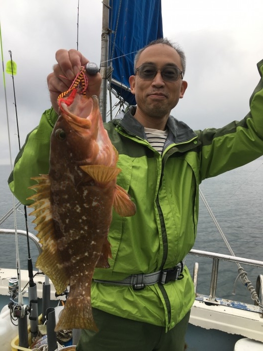 ロックフィッシュ の写真