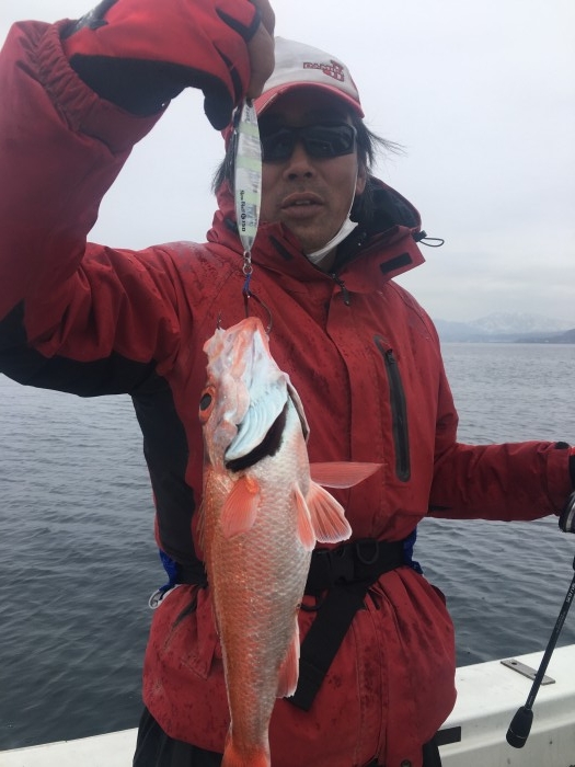 本日のタイラバ、スロージギング の写真