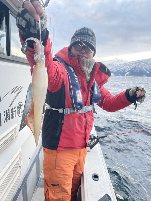 ヤリイカ便明日も出船可能です。 の写真