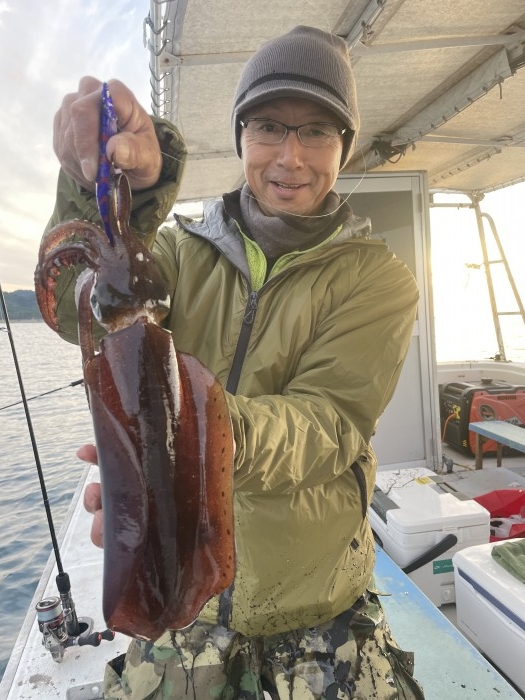 アオリTR〜夜アオリまだまだ行けそうです。 の写真