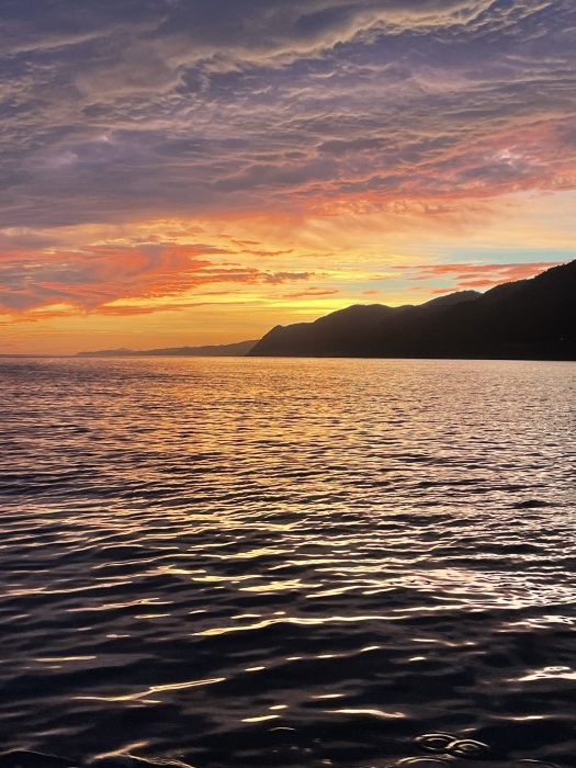 å–¶æ¥å†é–‹ã®ãŠçŸ¥ã‚‰ã›ï¼ の写真