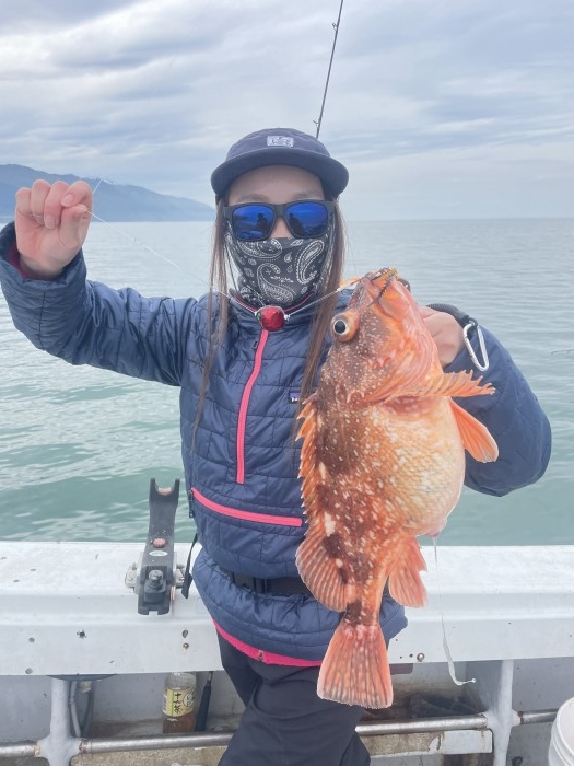 タイラバ便 の写真