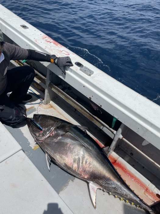 8月ã‚ャスティング募集 の写真