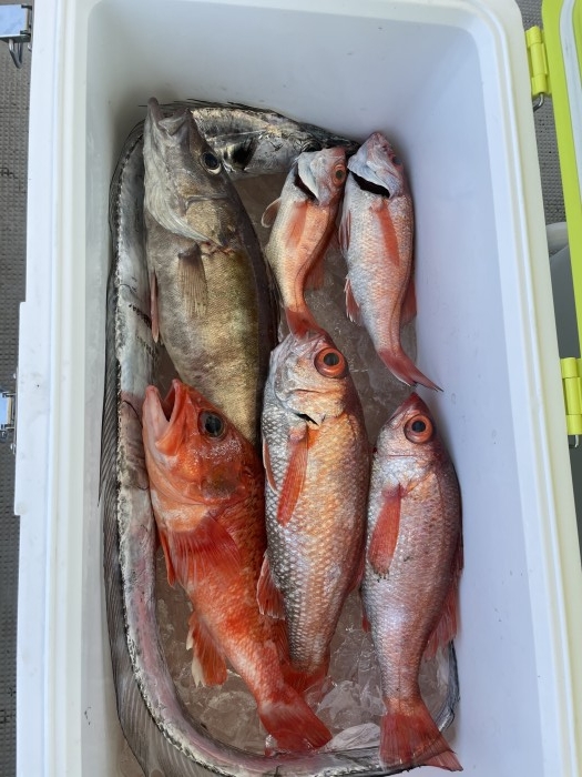 14日　中深海スロージギング の写真