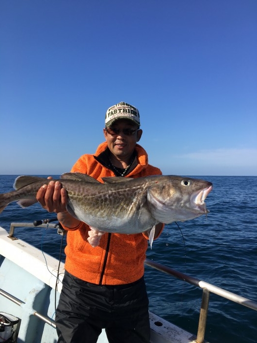 本日の真鱈便釣果 の写真